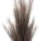 42" Light Brown Pampas Grass Stem by Ashland®